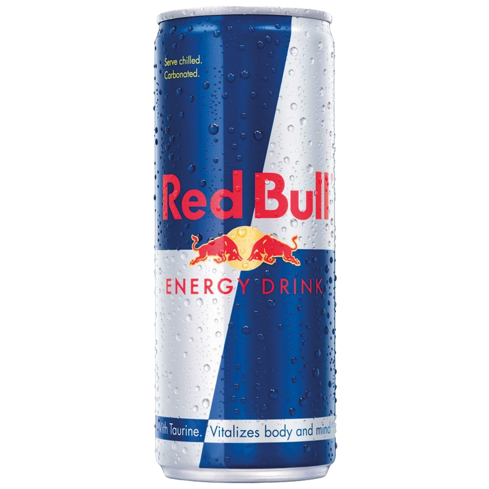 Red Bull Dose Einweg 250 ml